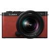 Panasonic Lumix S9 + 20-60mm f/3.5-5.6 - Porpora