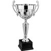 Generico Coppa Trofeo Personalizzabile Grande in Metallo Varie Misure Calcio, Fantacalcio, Tennis, Padel, Basket Premiazioni Sportive ed Eventi con Targhetta Personalizzata cod 7.561 (40 cm)