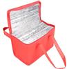 APGLSXY Borsa termica, isolata a tenuta stagna, portatile, morbida, per il pranzo, per viaggi, campeggio, picnic, pesca, cibo grande isolato