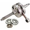 Generico Albero motore Mazzucchelli + Cuscinetti e Paraoli Compatibile con Runner 125 180 2T FX FXR SR 125 TYPHOON 125 2T DRAGSTER 125 180