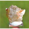 Cerussite 32 Grammi - Le Lastre Mine, Mibladen, Marocco