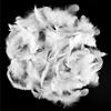jwogngls 500 Pezzi Piume Bianche, 8-12cm Piume Decorative, Soffici e Morbide Piume Bianco, DIY Piume Artigianali, Piuma Biancaper Matrimoni, Feste, Acchiappasogni