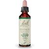 Bach Fleurs de Bach Centaury N°4 20ml