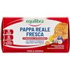 Equilibra Integratori Alimentari, Pappa Reale Fresca, Integratore con Vitamine del Gruppo B, Arricchito con Miele Millefiori, Adatto Anche ai Bambini Sopra i 6 Anni, 10 Flaconcini Pronti da Bere