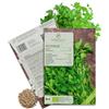 growgreens Semi di prezzemolo liscio biologiche - Semi di erbe aromatiche da coltivare in cucina, sul balcone, sul orto rialzato e in giardino