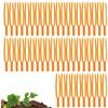 Generic Forchetta per piantare fragole - 50 supporti per piante di fragole, supporto per piante da giardino da 65 mm, fissaggio per fissaggio agricolo, supporto riutilizzabile per stelo per giardinaggio