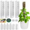 Corpower Moss Pole di Plastica, 4 Pezzi 35 cm (Palo per Piante Rampicanti + Inserimento a Terra) + 150 g Muschio, Palo di Sfagno per Piante Rampicanti da Interni ed Esterni, Sostegno per Piante