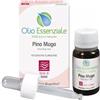 Apistore Olio essenziale pino mugo 10 ml - E. Magentina