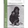 Dvd LA CIOCIARA Vittorio De Sica Sophia Loren Jean Paul Belmondo nuovo 1960