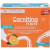 PALADIN PHARMA SpA Sanavita, Carnitina Forte, 14 Bustine