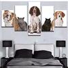 wmyzfs Decorazioni per la casa Poster modulari 5 Pezzi Stampa su Tela Cani e Gatti Quadri con Animali Quadri murali Arte Moderna Senza Cornice