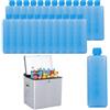 Lizeboyi 24 Pezzi Ice Pack Riutilizzabili - Ghiaccioli Piccolos - Elementis Refrigeranti - 110 Ml Ciascuno, Circa 11,5x4 Cm - Per Borsa Frigo, Picnic, Mare, Viaggi E Porta Pranzo