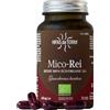 Hifas Da Terra Mico Rei 70cps
