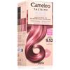 Delia Cosmetics Cameleo Taste My Hair 1 pz