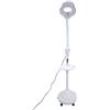 ZJchao Lampada terra con ingrandimento 8X, lampada terra ingrandente con base oscillante a LED ideale per la lettura hobby artigianato banco lavoro(UE)