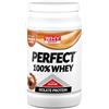 BIOVITA Srl WHYSPORT PERFECT 100% WHY CARAMELLO SALATO 450 G SENZA GLUTINE