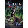 Marvel Castle: Richard Castle's Unholy Storm