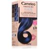 Delia Cosmetics Cameleo Taste My Hair 1 pz