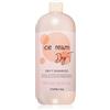 Inebrya Ice Cream Dry-T Shampoo 1000 ml