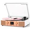 VICTRESS Giradischi in vinile con altoparlanti integrati, giradischi Bluetooth per dischi in vinile, lettore LP con cinghia a 3 velocità, registrazione USB/Micro SD, radio FM, jack RCA/AUX/cuffie, oro