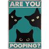 DGN Are You Pooping Targhetta in Metallo,20x30 cm Gatto Divertente Targhe in Metallo Vintage,Poster Bagno Metallica,Quadro Gatto Decorativo,Divertente Segnaletica Retrò per Bagno,Toilette,Casa,Bar o Pub