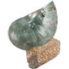 MUSISALY Decorazione Conch Simulazione Forma Conch Artistic Adornment Resina Decorazione Domestica Ornamento Esposizione Tavolo Casa Ufficio Cucina Patio Scrivania