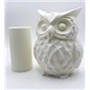 NEXHOME Vaso Decorativo Gufo bianco di Design - Vaso per Piante Grasse, Fiori Veri o Secchi - Scultura Decorativa per Arredo Casa, Soggiorno, Studio o Ufficio - Idea Regalo Originale (bianco)