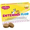 ENTERINA FLOR 20CPR VET