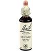 Schwabe Pharma Italia Mustard Bach Orig 20 Ml