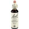 Schwabe Pharma Italia Sweet Chest Bach Orig 20 Ml