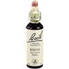 Bach Original Flower Essences Schwabe Pharma Italia Beech Bach Orig 20 Ml