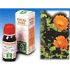 CALENDULA OFF 5 50ML TM - - 909309383