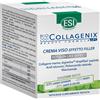 ESI Srl BIOCOLLAGENIX Crema Viso 50ml