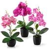PASCH® Fiori artificiali in vaso (35cm) - Set di 3 Orchidee artificiali con arrangiamento coordinato in vasi di ceramica lucidi, fiori artificiali per la decorazione, orchidee artificiali