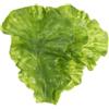 Ciieeo Realistico Di Foglie Di Lattuga Artificiali Set Di 9 Foglie Di Verdure Simulate Per Decorazioni Casa Ristoranti E Negozio Di Ortaggi Supporto Fotografico E Strumento Didattico