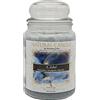 NATURE CANDLE by Bonturi Casa NATURE CANDLE candela profumata 100% cera vegetale - Giara 580g Chloé