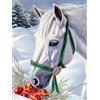 Bimkole 5D Diamond Painting Kit Completo Fai da Te Cavallo, Neve Animale Pittura Diamante Punto Croce Strass Arte E Creazione Di Mosaico Decorazione Murale Artigianale 30X40 cm
