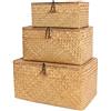 FEILANDUO Set di 3 Cestini con Coperchio Intrecciati a Mano in Marina, Organizer per Trucchi Multiuso Cestini Portaoggetti Cesta Vimini con Coperchio Cestino Naturale Intrecciato con Alghe (Grande)