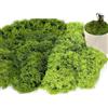Sztqqing Muschio Artificiale da Decorare 160g - Verde Scuro 80g e Verde Chiaro 80g per Parete, Presepe, Acquario e Modellismo