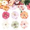 WiDream 60 Pezzi Fiore di Simulazione del Tessuto, Fiori Finti Fatti a Mano Fai da te, Fiore Decorativo Multicolore di Simulazione, Per Decorare Giardino, Camera da Letto, Artigianato Fai-da-te
