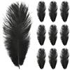 Amexo 10 Pezzi Piuma di Struzzo 10-12pollici (25-30cm) Piuma di Struzzo Naturale Artigianato in Piuma di Struzzo per Matrimoni Artigianato Costumi Decorazione Natalizia Feste a Tema, Nero