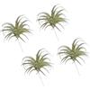 sourcing map 4 piante grasse artificiali, erba di ananas finta, 12,7 cm, grandi piante grasse finte senza vaso, tocco reale, per fai da te, casa, matrimonio, giardino, ufficio, decorazione floreale