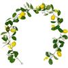 Drhomeam Ghirlanda di limone artificiale, 1,7 m/2 m, ghirlanda di frutta primaverile con foglie artificiali di limone verde (stile 1: 1,7 m)