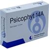BIOGROUP Srl PSICOPHYT REMEDY 14A 4 TUBI 1,2 G