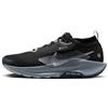 Nike Pegasus Trail 5 Gore-Tex Black/Wolf Grey-Cool Grey-Anthracite 46 EU