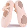 Acfoda Scarpette Danza Classica Tela Scarpe Ballo Ballerina Mezza Punta Ginnastica Ritmica Suola Spezzata Antiscivolo per Donna Rosa 40