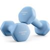 SONGMICS Set di 2 Manubri, 2 x 2 kg, Manubri Esagonale con Superficie in Vinile, per Fitness, Esercizio, Addestramento, per Palestro in Casa, Viola Cenere SYL64PL