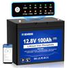 DCHOUSE Batteria al litio 12V 100Ah LiFePO4, Luce SOC, Protezione Dalle Basse Temperature, Intelligente BMS 100A, Fino a 15000 Cicli, Per Motore da pesca alla Traina, Camper, Sistema Solare, Off-Grid