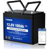 DCHOUSE Batteria Litio Bluetooth 12V 100Ah, Batteria al Litio 12V 1280Wh con Protezione 100A BMS e a Bassa Temperatura, Lifepo4 per Motori Elettrici, Caravan, Campeggio, Sistemi Solare
