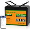 ECO-WORTHY Lifepo4 Batteria al litio Bluetooth 12 V 100 AH, Batteria LiFePO4 con Protezione a Bassa Temperatura, BMS Intelligente, 1280 Wh Energia, per Caravan, Campeggio